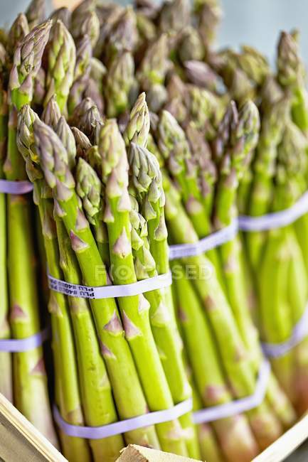 Bunches of green asparagus — Stock Photo