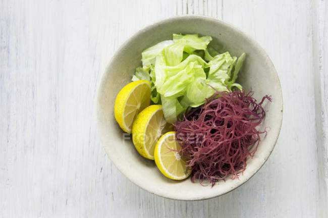 Миска айсберзького салату — стокове фото