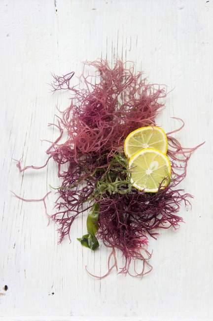 Vue rapprochée des algues rouges et des tranches de yuzu — Photo de stock