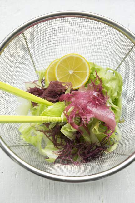 Вид крупным планом на салат из смешанных листьев с красными водорослями и ломтиками юзу — стоковое фото