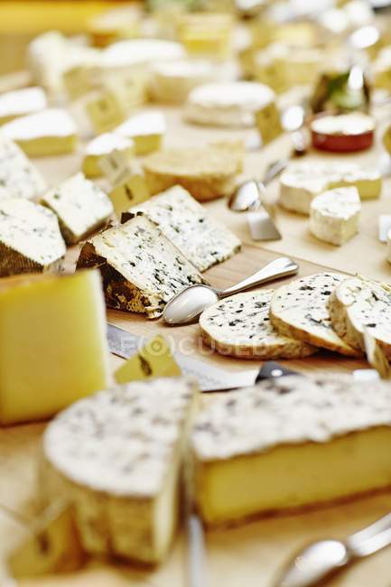 Various types of cheese — Stock Photo
