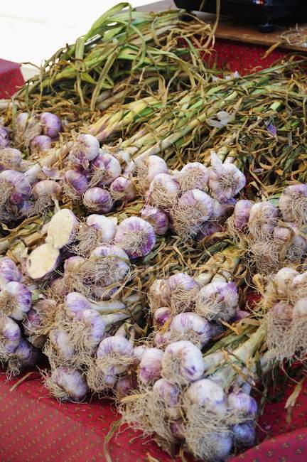 Bundles of fresh picked garlic — Stock Photo