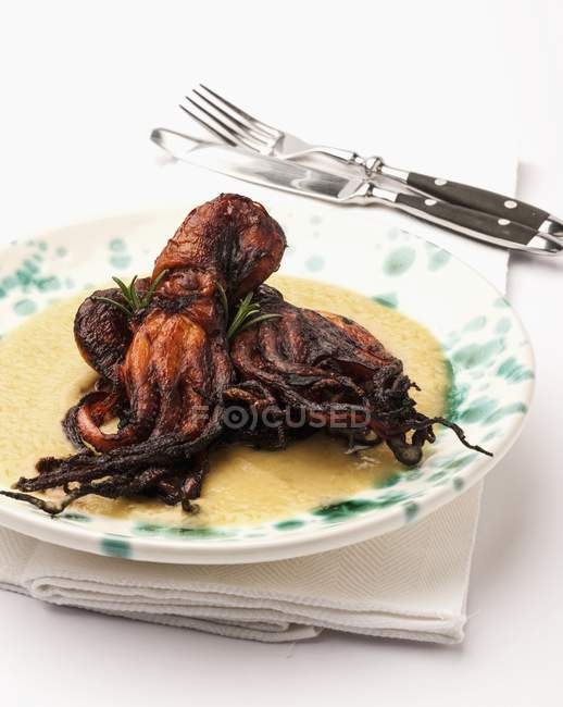 Vista ravvicinata di calamari fritti su Polenta cremosa — Foto stock