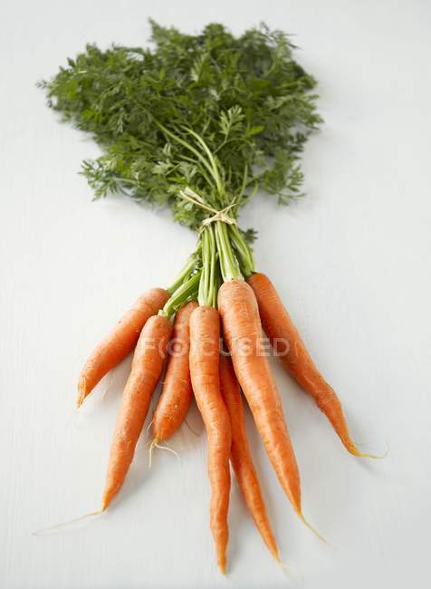 Куча свежей моркови со стеблями — стоковое фото