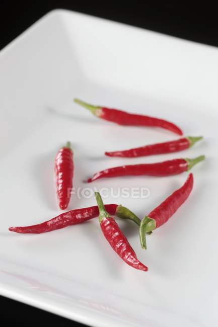 Rote Chilischoten auf einem Teller — Stockfoto