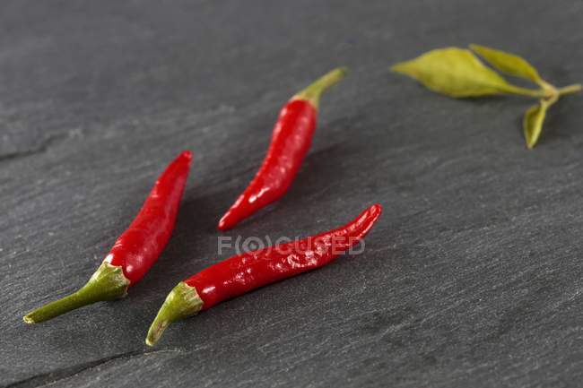 Poivrons de piment rouge frais — Photo de stock