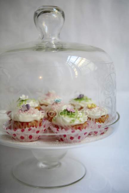 Spring cupcakes under glass cloche — Stock Photo