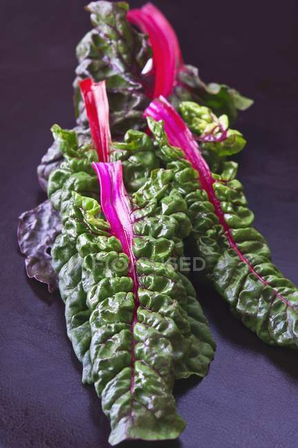 Red chard leaves — Stock Photo