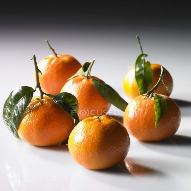 Mandarinas con tallos y hojas - foto de stock