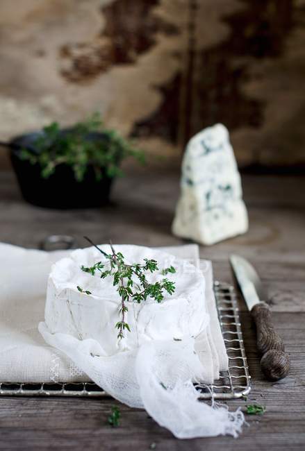 Camembert cheese with thyme — Stock Photo