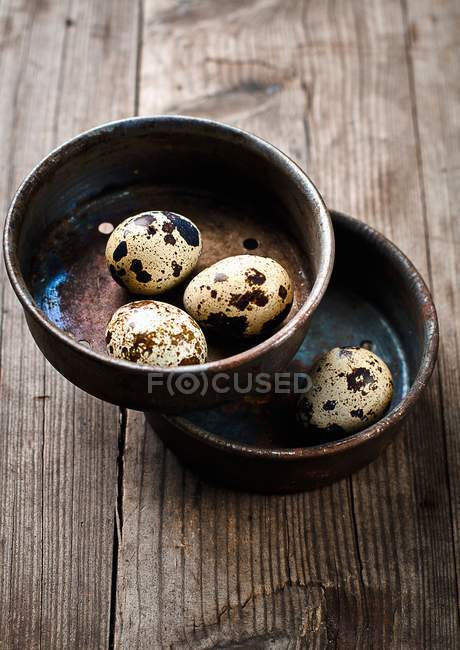 Huevos de codorniz en macetas de cerámica - foto de stock