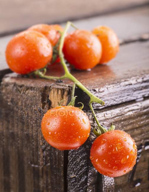 Tomates de videira recém-lavados — Fotografia de Stock