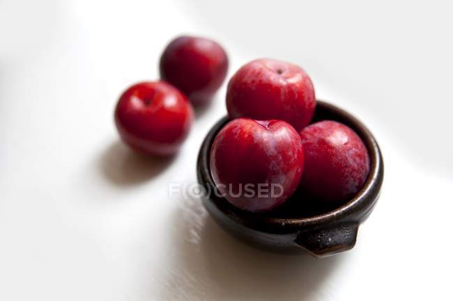 Bowl of red organic plums — Stock Photo