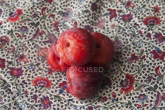 Freshly washed organic plums — Stock Photo