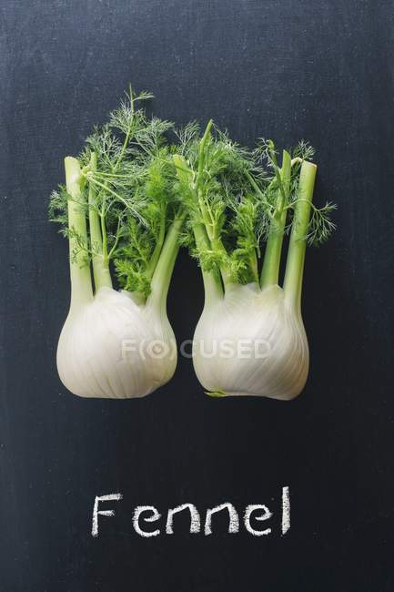 Fresh fennel bulbs — Stock Photo