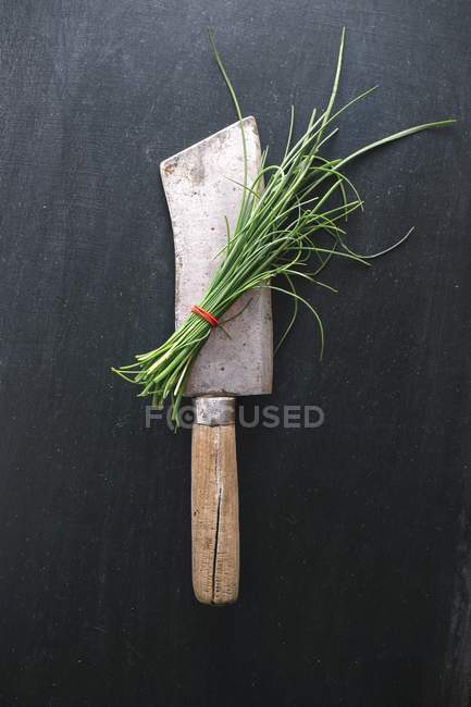 Erba cipollina fresca sulla mannaia — Foto stock