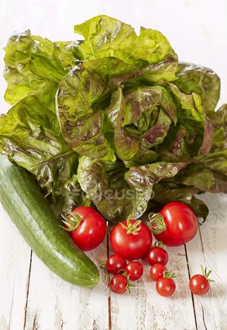 Lechuga con pepino y tomates - foto de stock