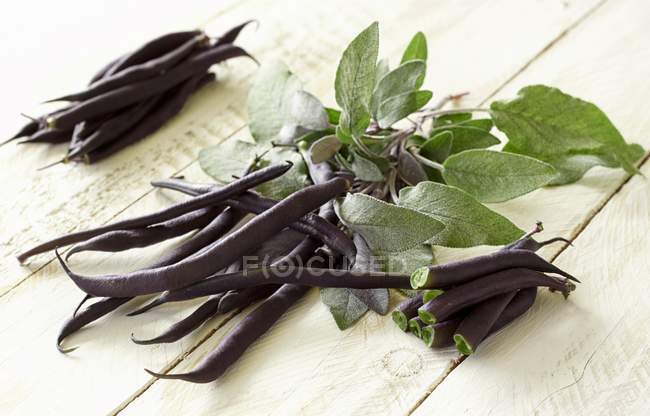 Frische violette Bohnen mit Blättern — Stockfoto
