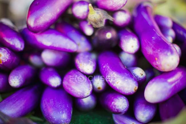 Fresh Japanese aubergines — Stock Photo