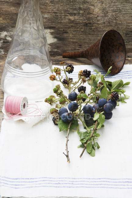 Vista ravvicinata di more e prugne rametti con foglie e frutti, bottiglia di vetro, imbuto e spago — Foto stock