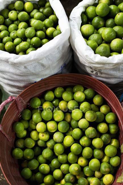 Limes in sacks and plastic container — Stock Photo
