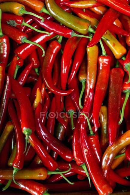 Red chillies background — Stock Photo