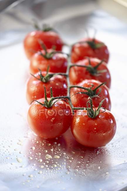 Tomates de vid listos para asar - foto de stock