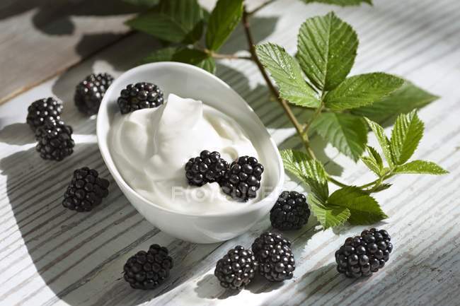 Yogurt with blackberries and leaves — Stock Photo