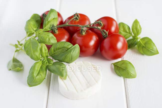 Vine tomatoes with basil — Stock Photo