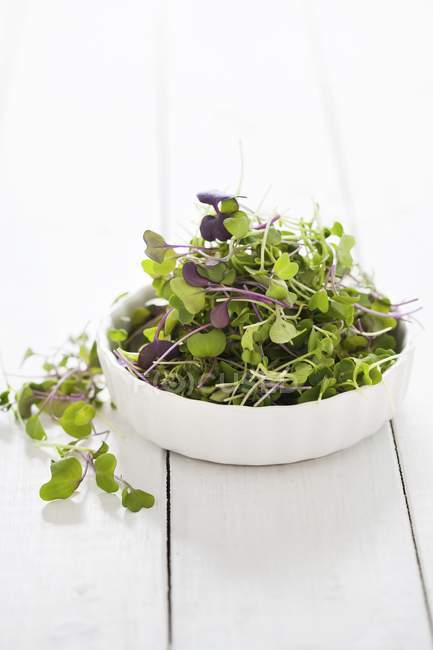 Fresh sprouts in bowl — Stock Photo