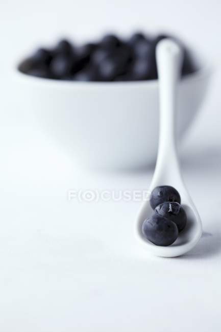 Blueberries on white porcelain spoon — Stock Photo