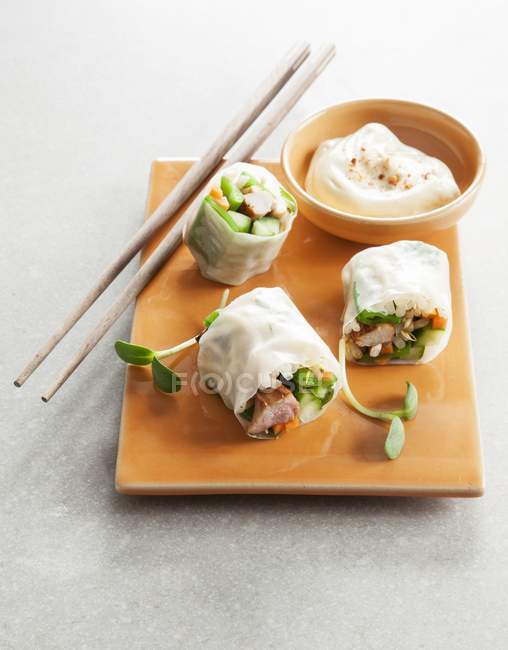 Rice paper rolls with chicken — Stock Photo
