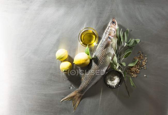 Fresh fish with lemons and spices — Stock Photo