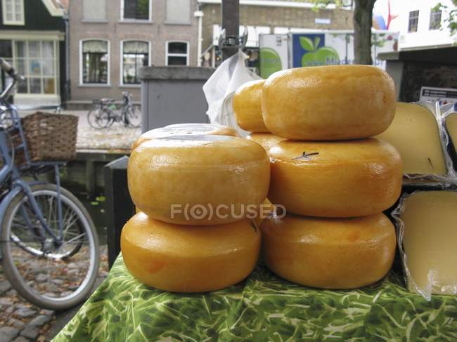 Wheels of Gouda cheese — Stock Photo