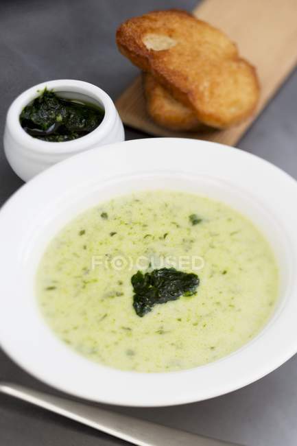 Wild garlic soup with toasted bread — Stock Photo