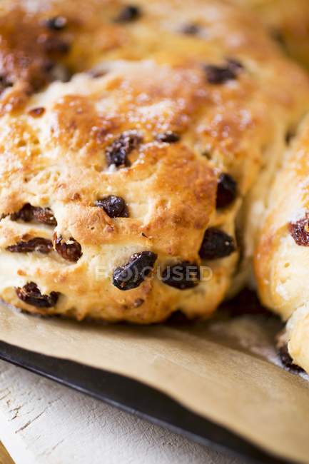 Easter bread with raisins — Stock Photo