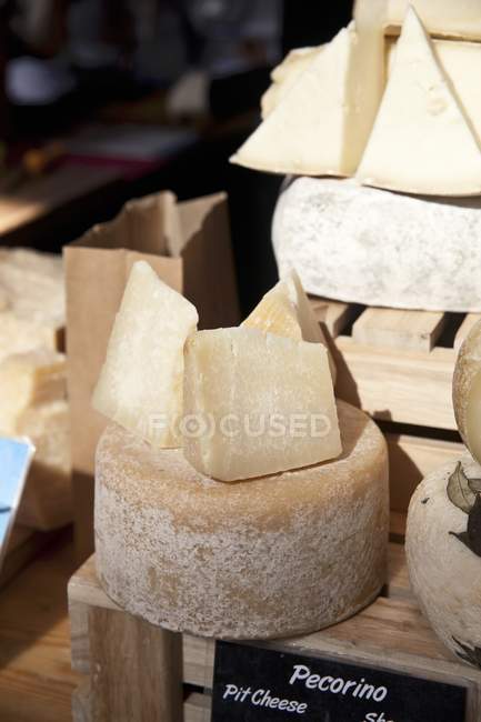 Pecorino cheese on stall — Stock Photo