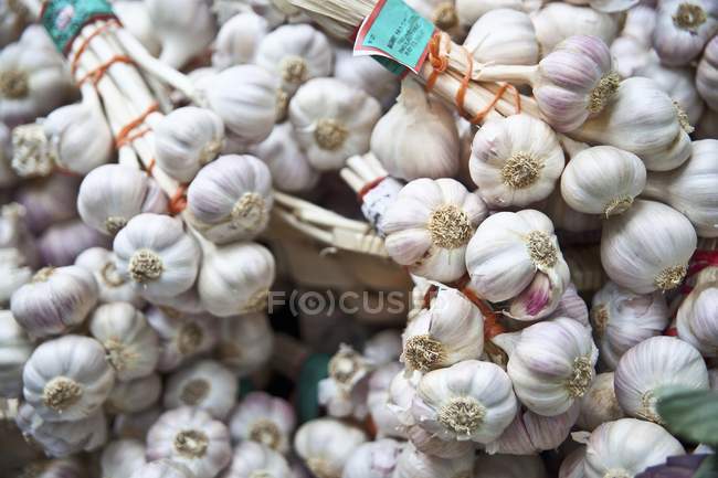 Bulbes d'ail frais — Photo de stock