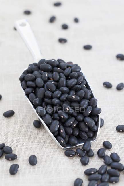 Haricots noirs séchés — Photo de stock