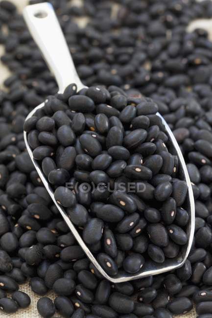 Pile de haricots noirs — Photo de stock