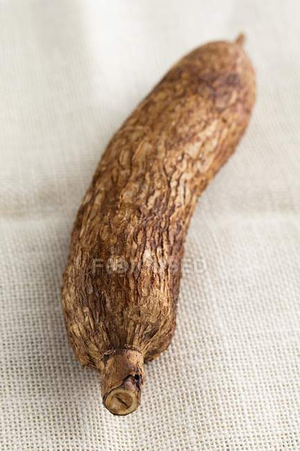 A cassava root laying on textile surface — Stock Photo