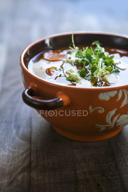 Sopa de lentilha com cenouras — Fotografia de Stock