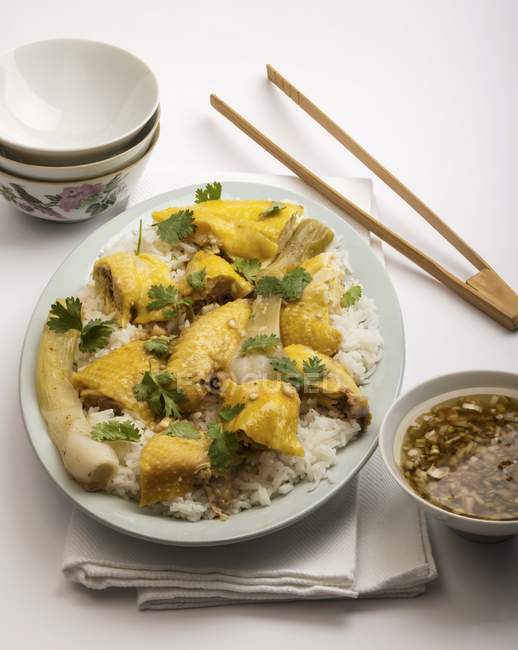 Kantonesisches Huhn mit Reis — Stockfoto