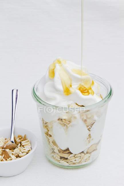 Yogur helado con miel - foto de stock