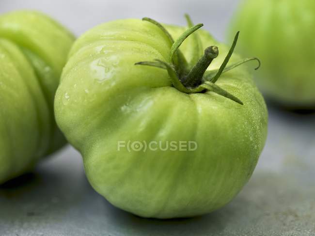 Green beefsteak tomatoes — Stock Photo