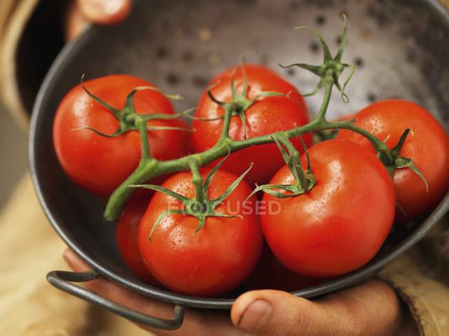 Sieve of vine tomatoes — Stock Photo