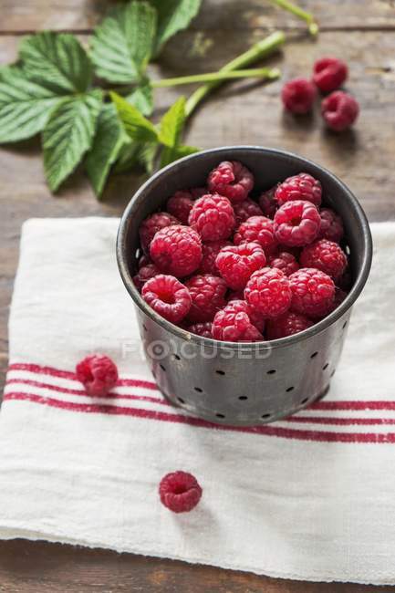 Raspberries in metal container — Stock Photo