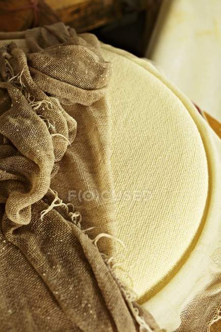 Горный сыр Форарльберг — стоковое фото