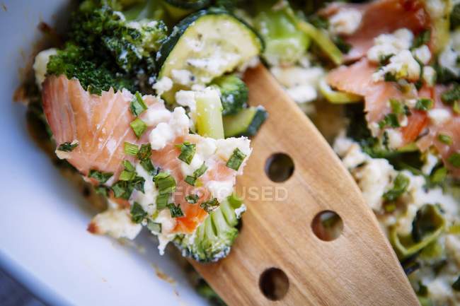 Courgette bake with salmon — Stock Photo