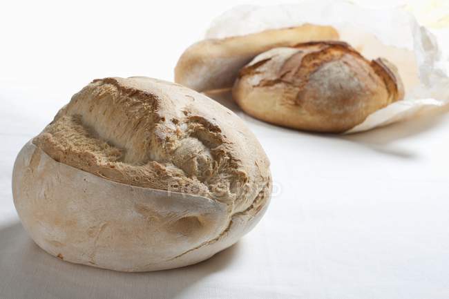 Freshly baked bread loaves — Stock Photo